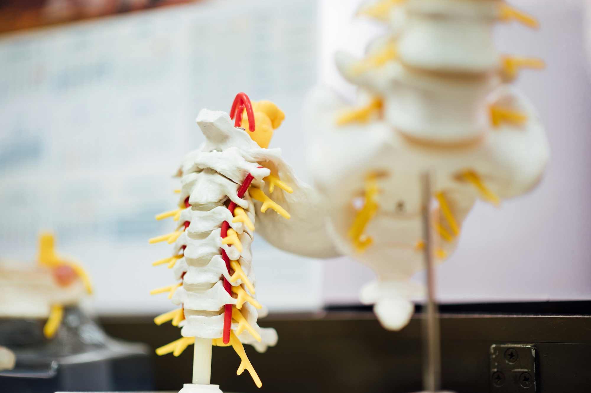 Chiara Benvenuto - Osteopata Genova
